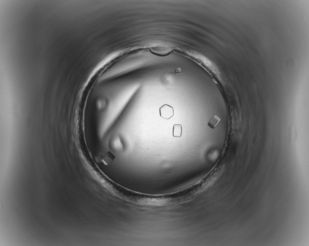 X0000086761134200704271725