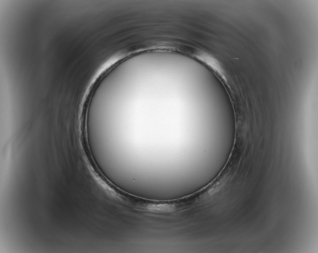 X0000086761135200704271725