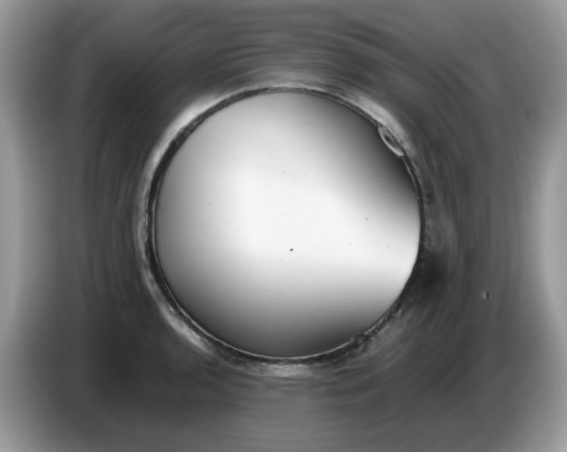 X0000086761136200704271725