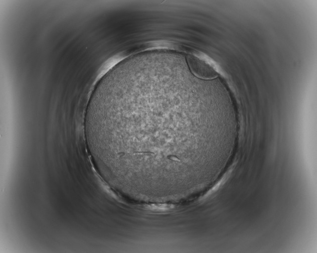 X0000086761137200704271725