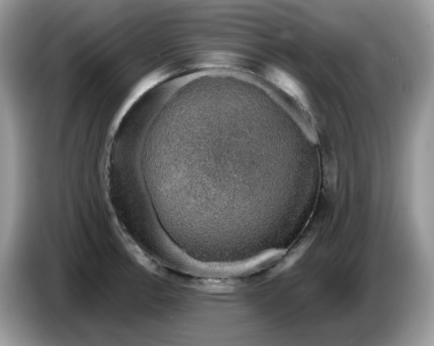 X0000086761138200704271725