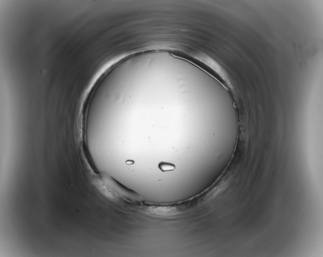 X0000086761140200704271725