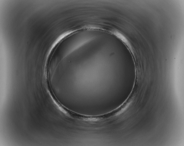 X0000086761141200704271725