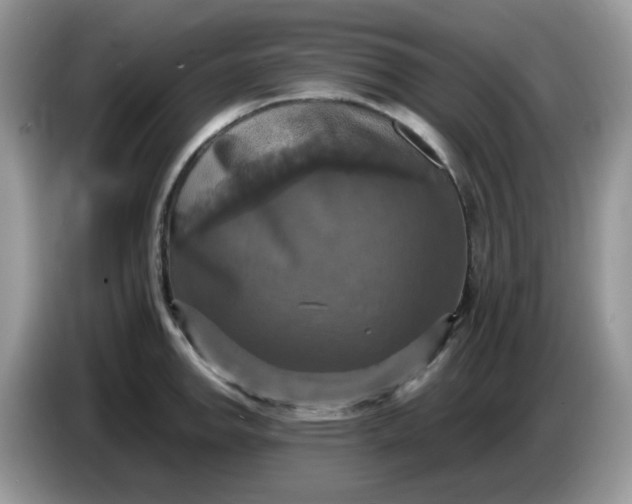 X0000086761142200704271725