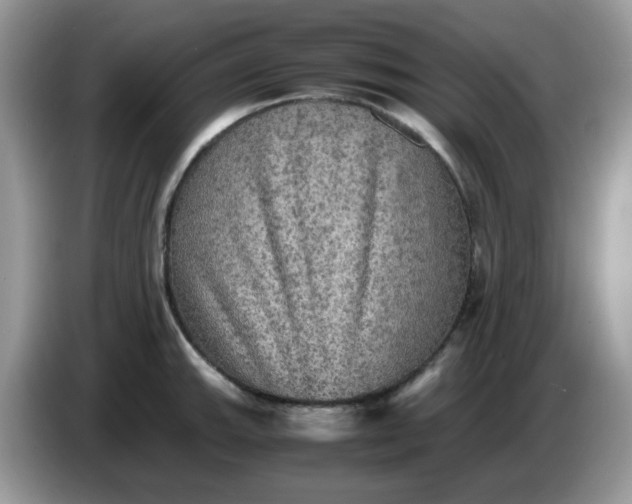 X0000086761143200704271725