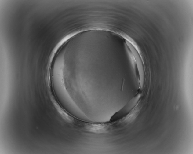 X0000086761144200704271725