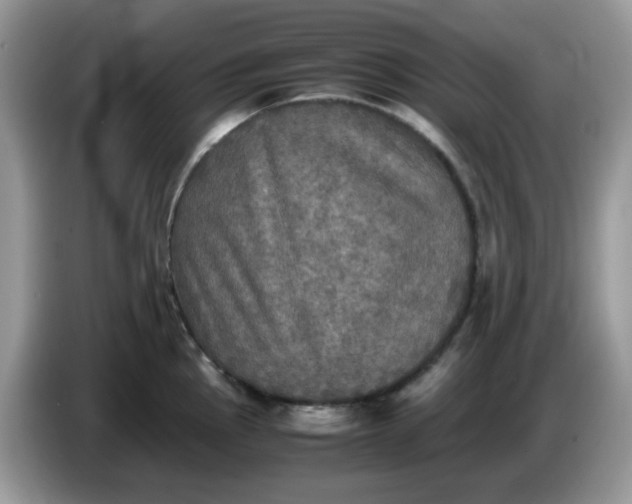 X0000086761145200704271725