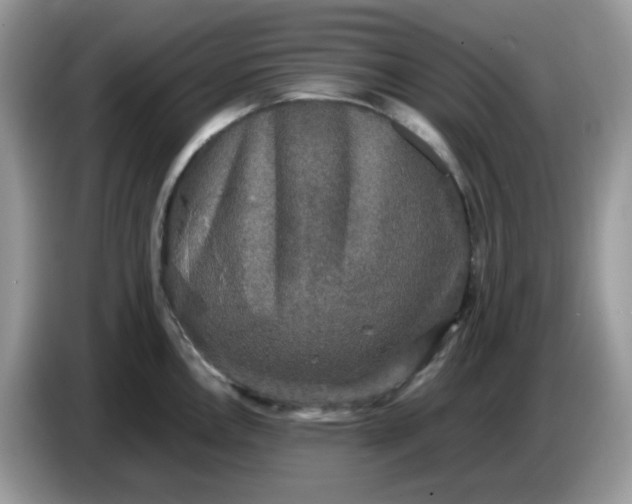 X0000086761146200704271725