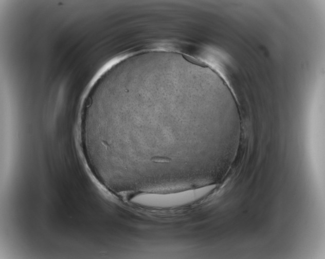 X0000086761147200704271725