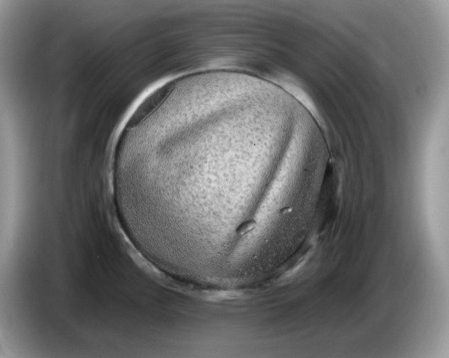 X0000086761148200704271725