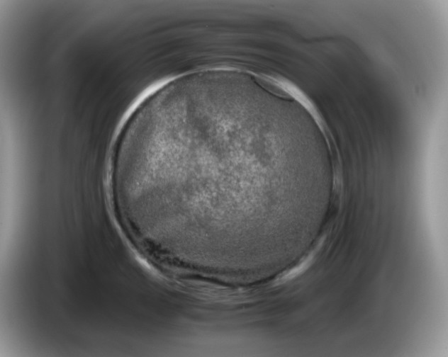 X0000086761149200704271725