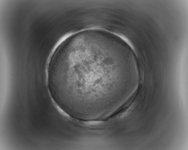 X0000086761151200704271725