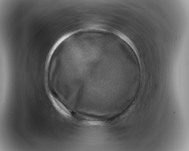 X0000086761152200704271725