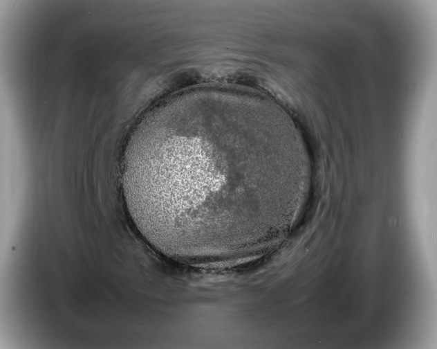 X0000086761153200704271724