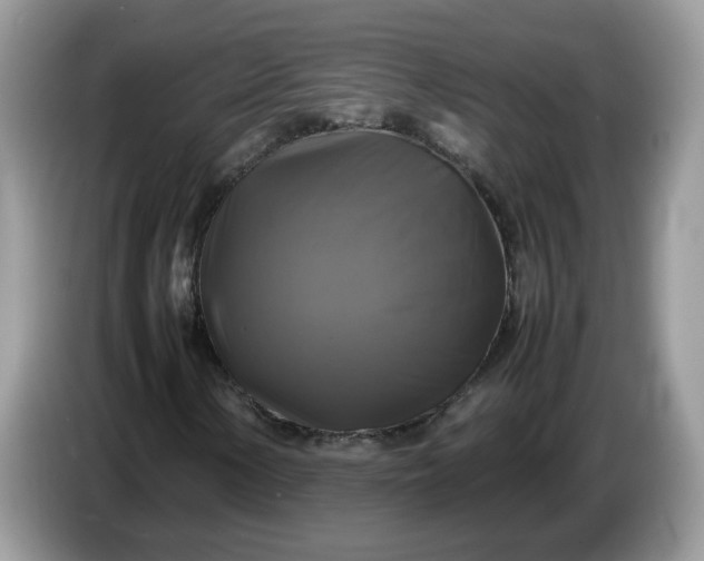 X0000086761154200704271724