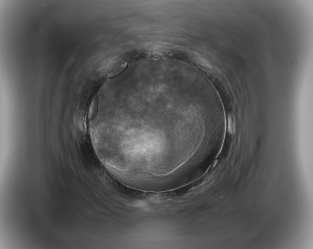 X0000086761155200704271724