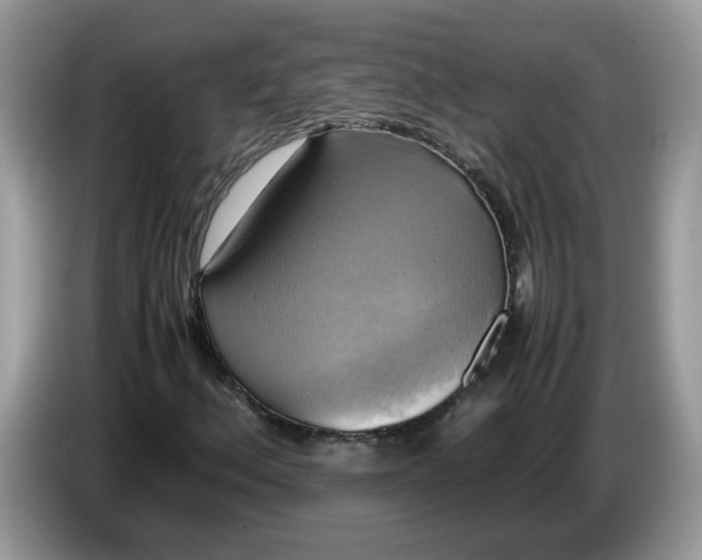 X0000086761156200704271724