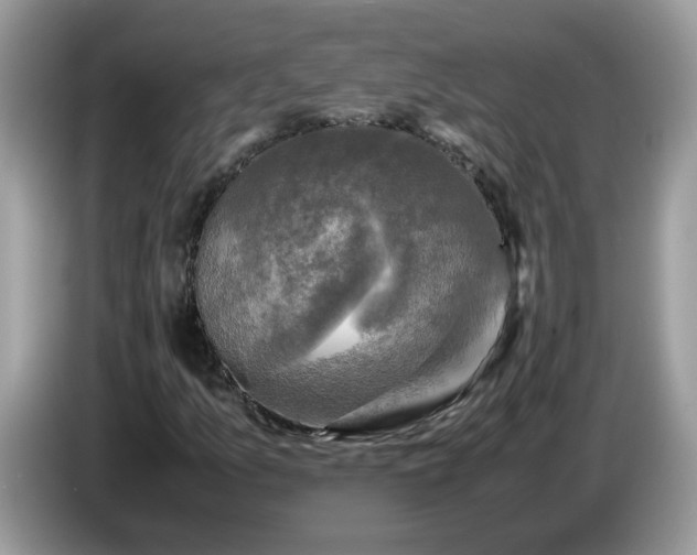 X0000086761157200704271724