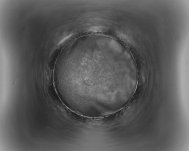 X0000086761158200704271724