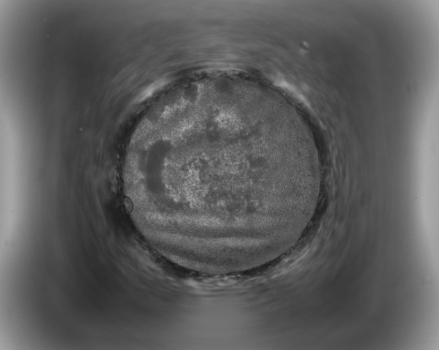 X0000086761159200704271724