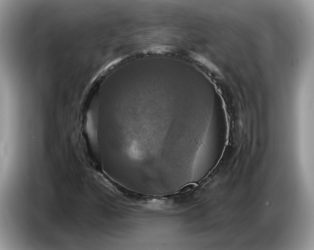 X0000086761160200704271724