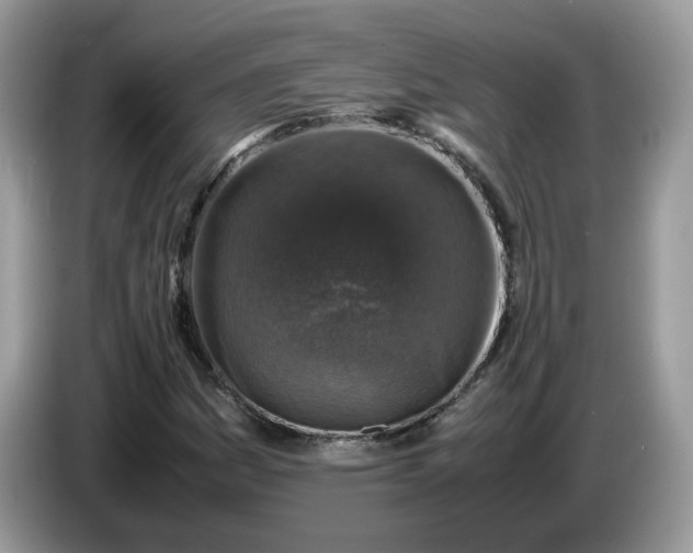 X0000086761161200704271724