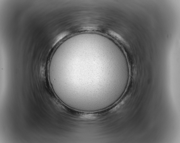 X0000086761162200704271724