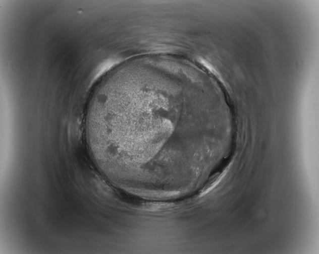 X0000086761163200704271724