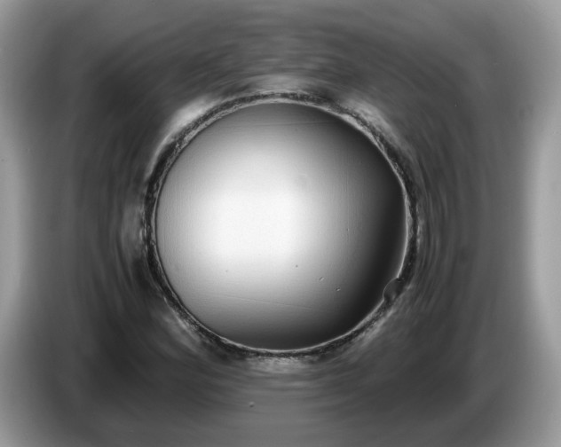 X0000086761164200704271724