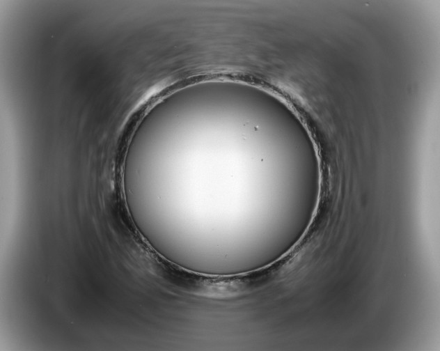 X0000086761165200704271724