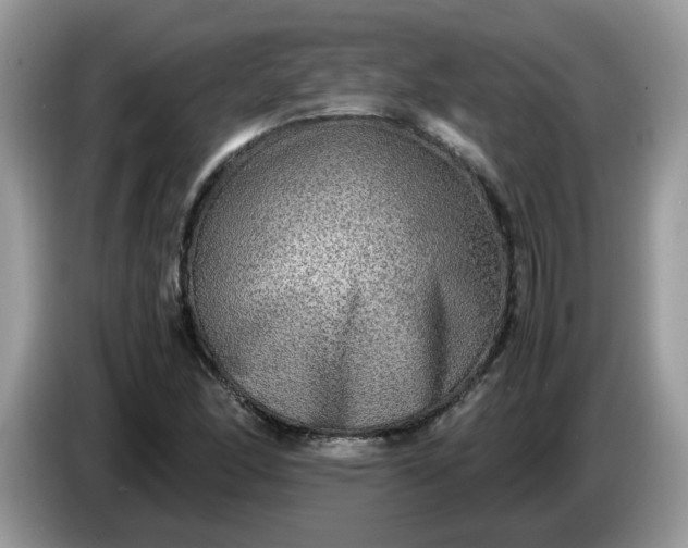 X0000086761166200704271724