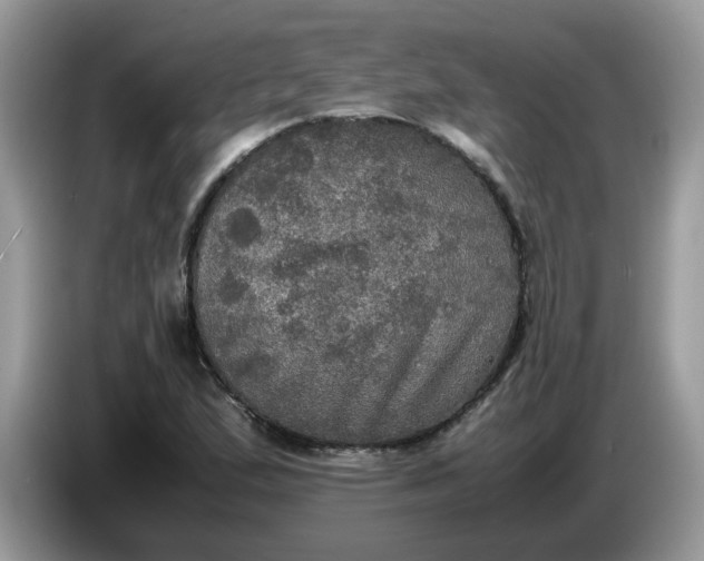 X0000086761167200704271724