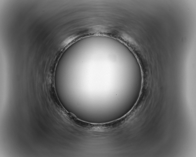 X0000086761169200704271724