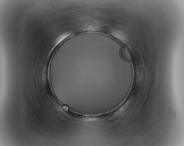 X0000086761170200704271724