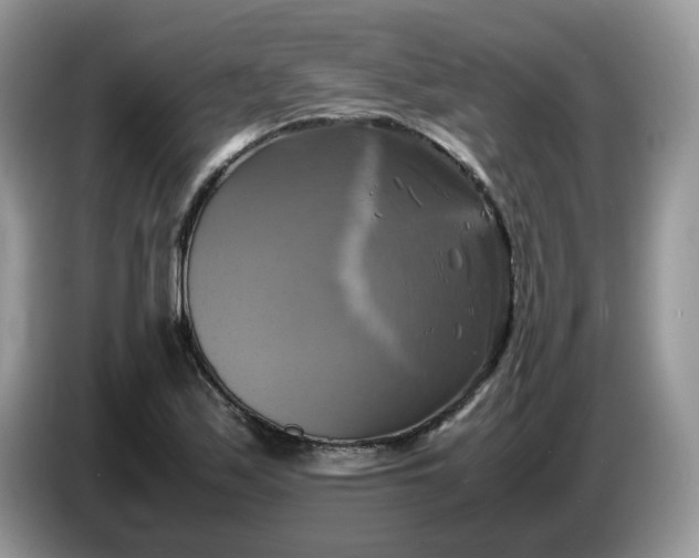 X0000086761171200704271724