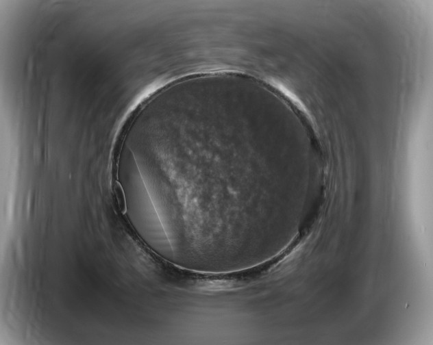 X0000086761173200704271724