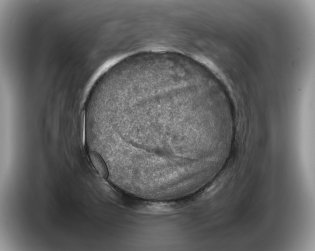 X0000086761175200704271724