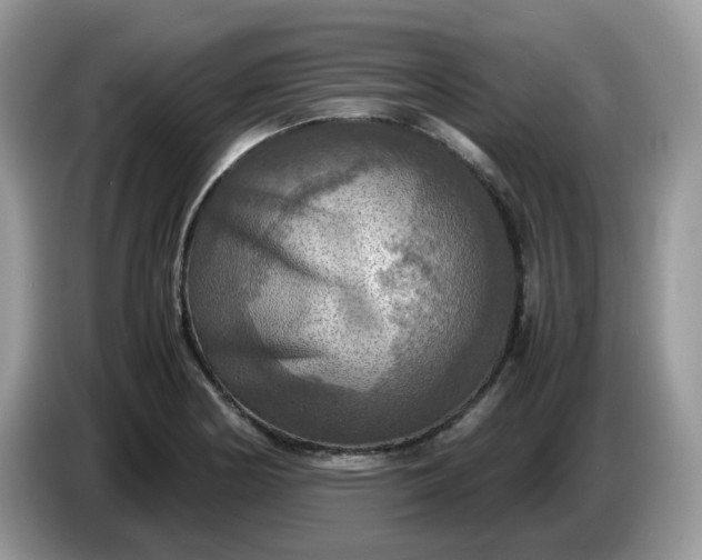 X0000086761178200704271724