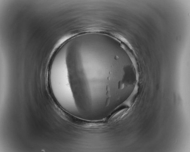 X0000086761179200704271724