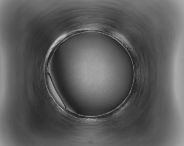 X0000086761180200704271724