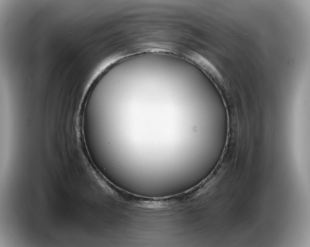 X0000086761182200704271724