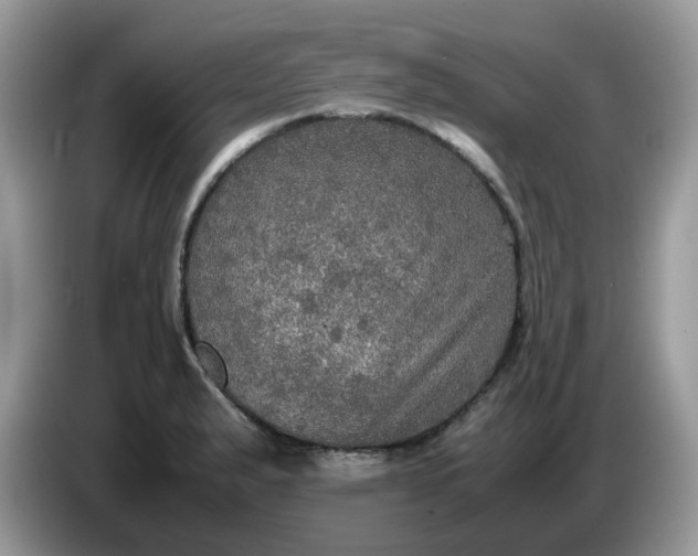 X0000086761183200704271724