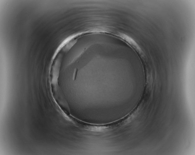 X0000086761184200704271724