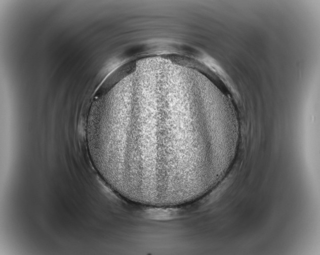 X0000086761185200704271724