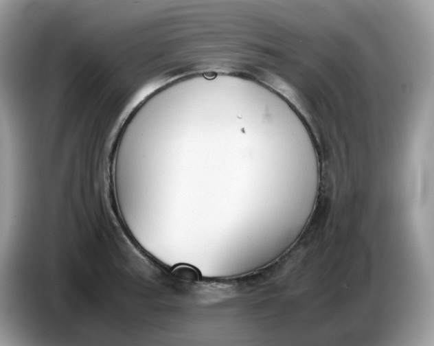 X0000086761187200704271724