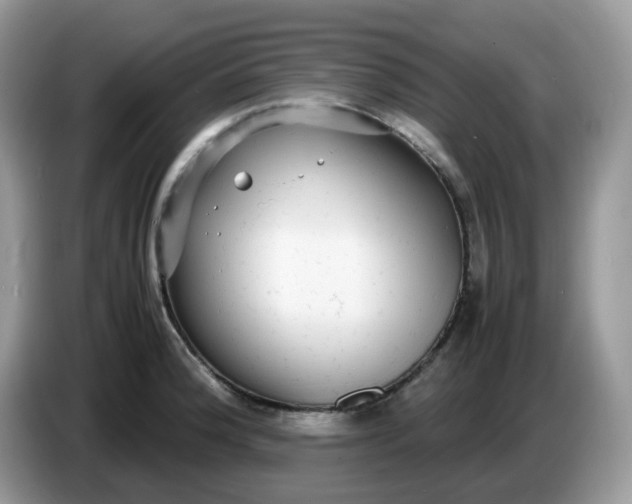 X0000086761188200704271724