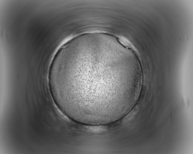 X0000086761189200704271724