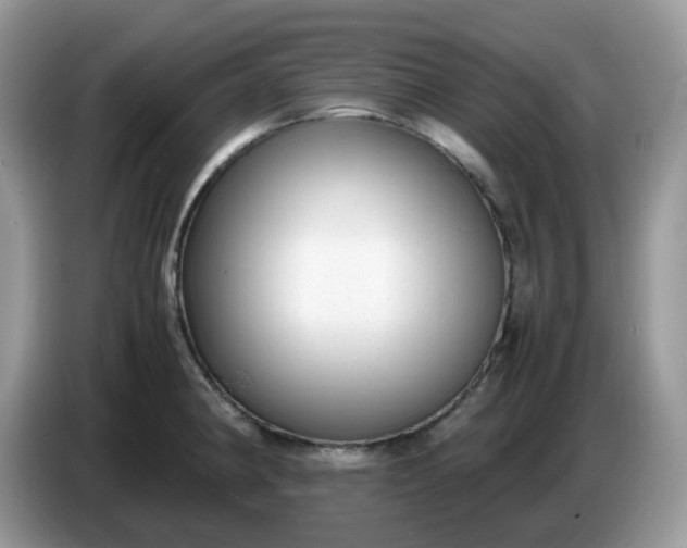 X0000086761190200704271724