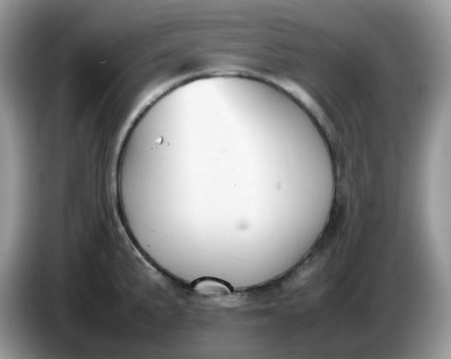 X0000086761191200704271724