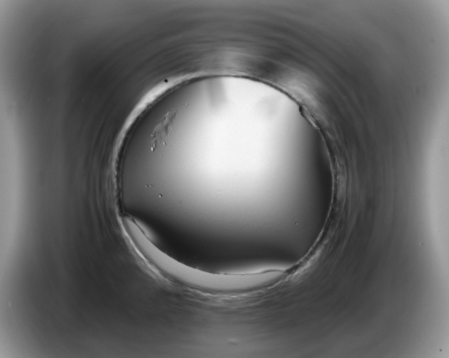 X0000086761192200704271724